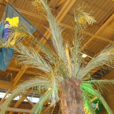 Foire de Paris 2010 - Hall 4 - Richesses du Monde