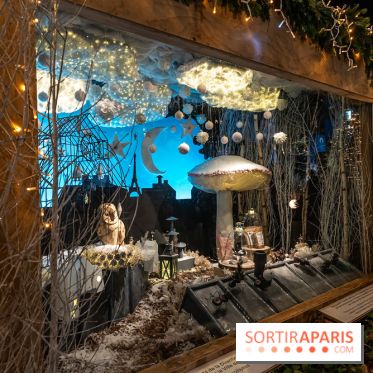 Marché de Noël de l'Hôtel de Ville 2023 spécial JO 2024 -  A7C9538