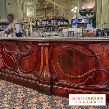 Le Bouillon Julien, la brasserie au sublime décor art nouveau, son menu et ses plats - bar acajou