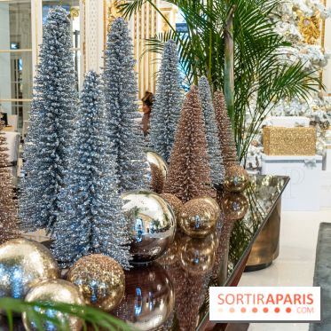 Noël au Peninsula Paris  -  A7C9675