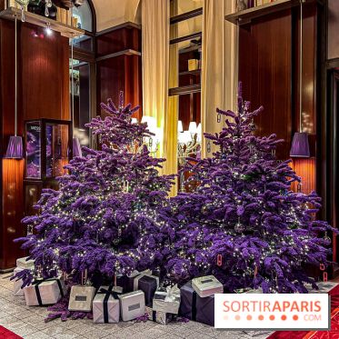 Noël 2023 à l'hôtel Royal Monceau Raffles Paris - image00015