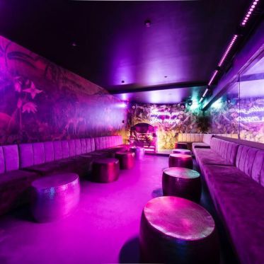 Un nouvel an dans une club privée près des Champs Elysées - image4