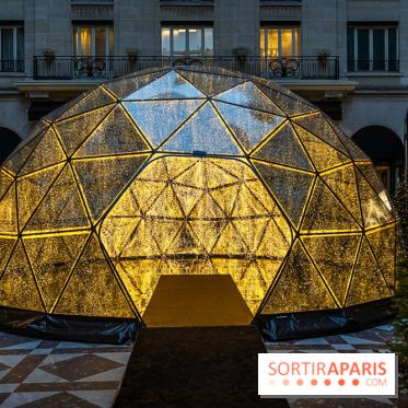 Le Four Seasons George V et ses décorations de fêtes -  A7C9880 2