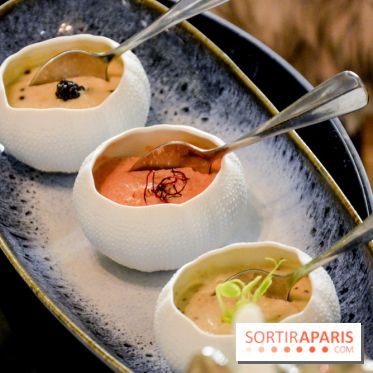 La Bulle de l'Hôtel du Collectionneur pour un apéritif d'exception - DSC 0611