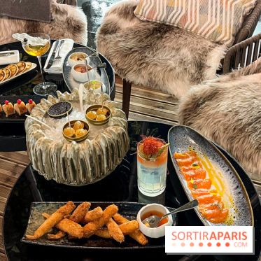 La Bulle de l'Hôtel du Collectionneur pour un apéritif d'exception - FullSizeRender 4