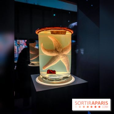 Objectif mer, l'exposition autour du 7e art à découvrir au musée de la Marine - nos photos - IMG20231207103735