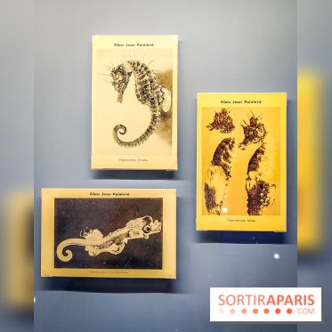 Objectif mer, l'exposition autour du 7e art à découvrir au musée de la Marine - nos photos - IMG20231207104112