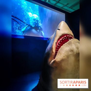 Objectif mer, l'exposition autour du 7e art à découvrir au musée de la Marine - nos photos
