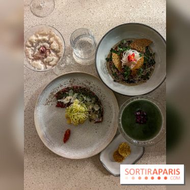 Bloom House, l'hôtel et spa entre les gares du Nord et de l'Est - image00025