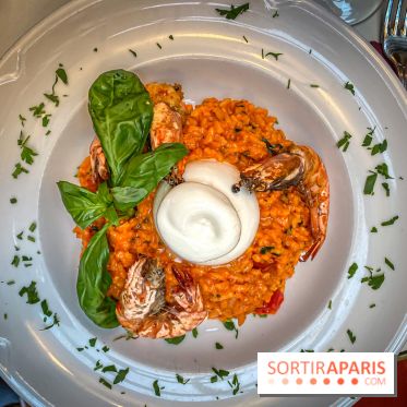 Dandino Saint-Germain-des-Prés - IMG 2687