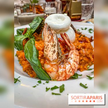 Dandino Saint-Germain-des-Prés - IMG 2689