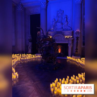 La Belle et la Bête, le spectacle au château de Maisons-Laffitte - nos photos - image00040