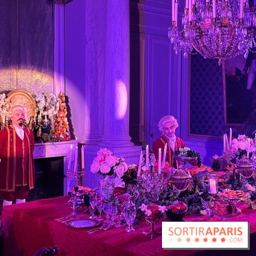 La Belle et la Bête, le spectacle au château de Maisons-Laffitte - nos photos - image00036