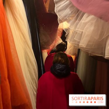 La Belle et la Bête, le spectacle au château de Maisons-Laffitte - nos photos - image00026