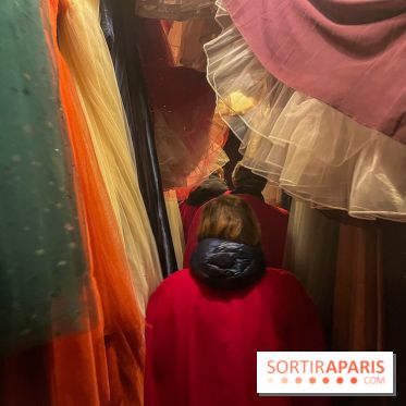 La Belle et la Bête, le spectacle au château de Maisons-Laffitte - nos photos - image00027