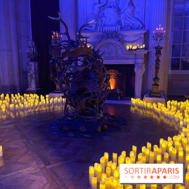 La Belle et la Bête, le spectacle au château de Maisons-Laffitte - nos photos