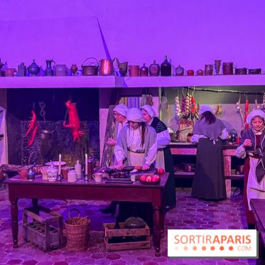 La Belle et la Bête, le spectacle au château de Maisons-Laffitte - nos photos