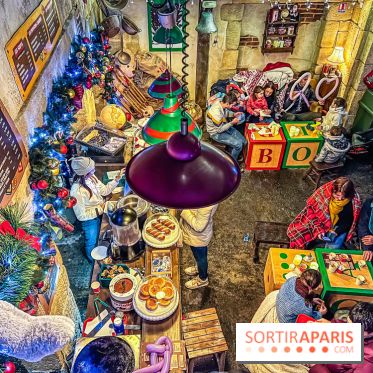 Noël au Parc Astérix 2023, sentier de lumières et patinoire - IMG 4939