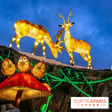 Noël au Parc Astérix 2023, sentier de lumières et patinoire - IMG 4971
