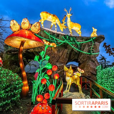 Noël au Parc Astérix 2023, sentier de lumières et patinoire - IMG 4973