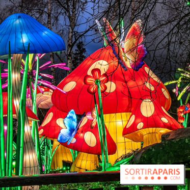 Noël au Parc Astérix 2023, sentier de lumières et patinoire - IMG 4977