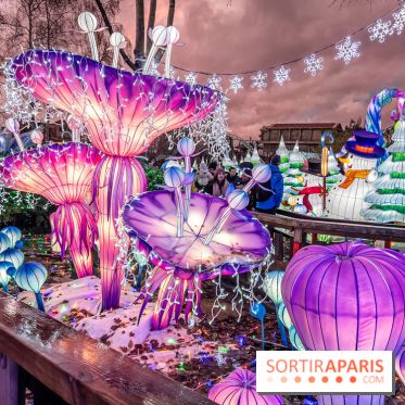 Noël au Parc Astérix 2023, sentier de lumières et patinoire