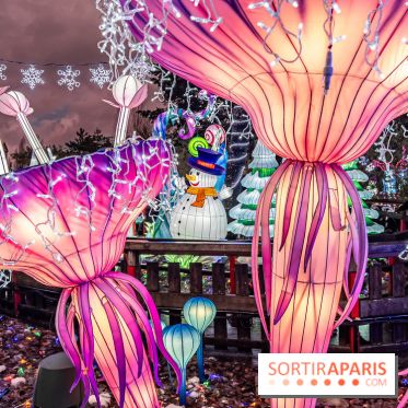 Noël au Parc Astérix 2023, sentier de lumières et patinoire