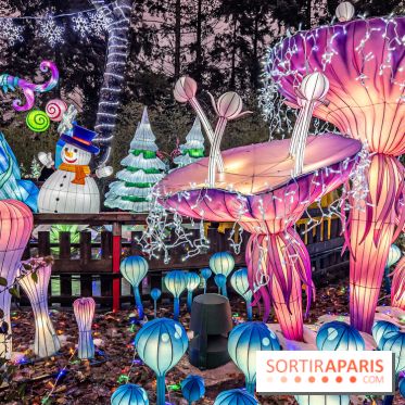 Noël au Parc Astérix 2023, sentier de lumières et patinoire - IMG 4996