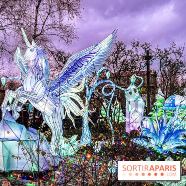 Noël au Parc Astérix 2023, sentier de lumières et patinoire - IMG 5003