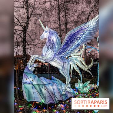 Noël au Parc Astérix 2023, sentier de lumières et patinoire - IMG 5005