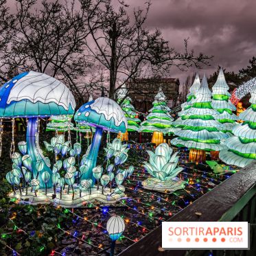 Noël au Parc Astérix 2023, sentier de lumières et patinoire - IMG 5008