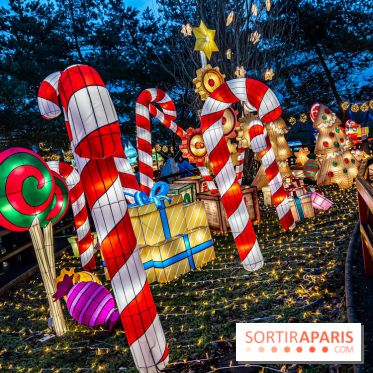 Noël au Parc Astérix 2023, sentier de lumières et patinoire - IMG 5023