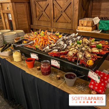 Réveillon de Noël et du Nouvel an à la Cité Suspendue du Parc Astérix - IMG 4733