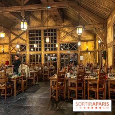 Réveillon de Noël et du Nouvel an à la Cité Suspendue du Parc Astérix - IMG 4734