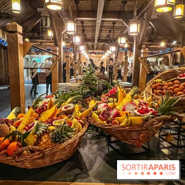 Réveillon de Noël et du Nouvel an à la Cité Suspendue du Parc Astérix - IMG 4737