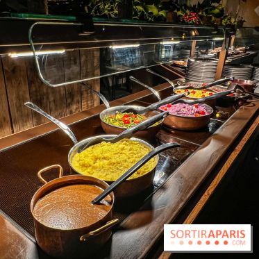 Réveillon de Noël et du Nouvel an à la Cité Suspendue du Parc Astérix - IMG 4740