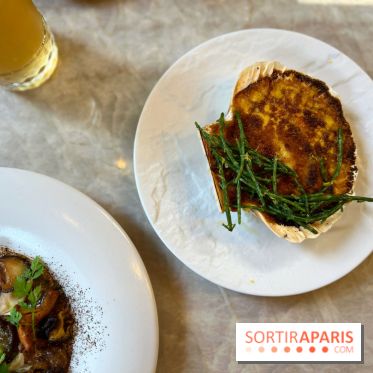 Le Boréal - Saint-Jacques gratinée