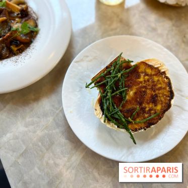 Le Boréal - Saint-Jacques gratinée