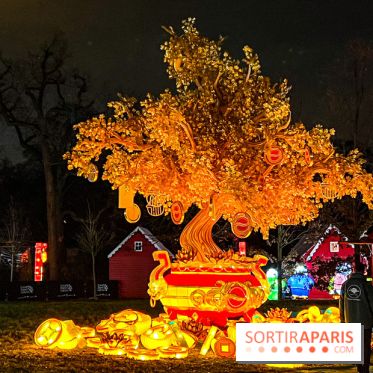 Festival Dragons et Lanternes - Jardin d'Acclimatation - image00069