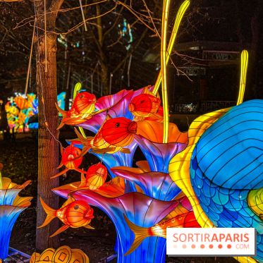 Festival Dragons et Lanternes - Jardin d'Acclimatation - image00121