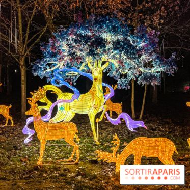 Festival Dragons et Lanternes - Jardin d'Acclimatation - image00124