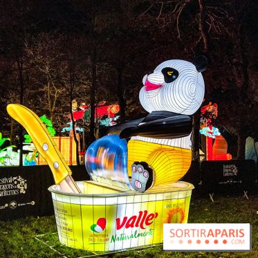 Festival Dragons et Lanternes - Jardin d'Acclimatation - image00168
