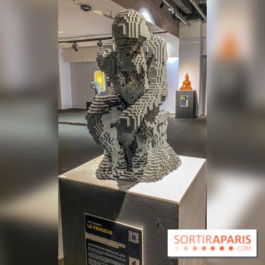 Expo The Art of The Brick Galerie Montparnasse - IMG 2981