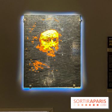 Expo The Art of The Brick Galerie Montparnasse - IMG 3027
