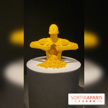 Expo The Art of The Brick Galerie Montparnasse - IMG 3032