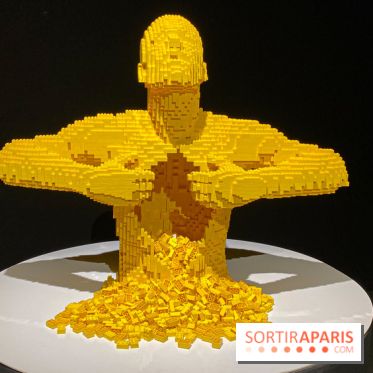 Expo The Art of The Brick Galerie Montparnasse - IMG 3033