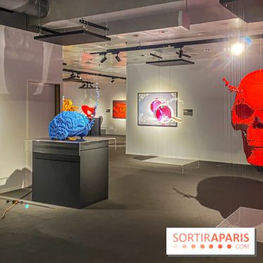 Expo The Art of The Brick Galerie Montparnasse - IMG 3035