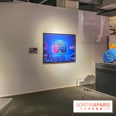 Expo The Art of The Brick Galerie Montparnasse - IMG 3036