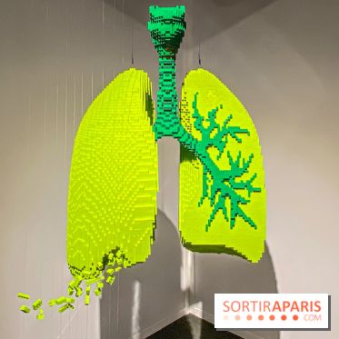 Expo The Art of The Brick Galerie Montparnasse