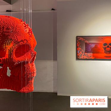 Expo The Art of The Brick Galerie Montparnasse - IMG 3043